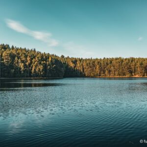 Jezioro w sosnowym lesie – fot. Krystian Kantarski (fuzjiart)